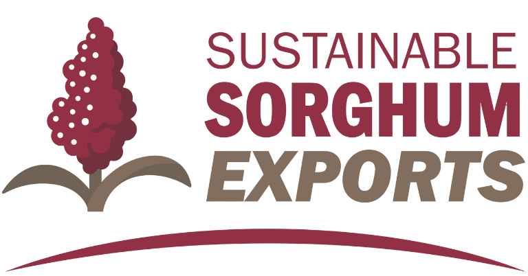 Sorghum